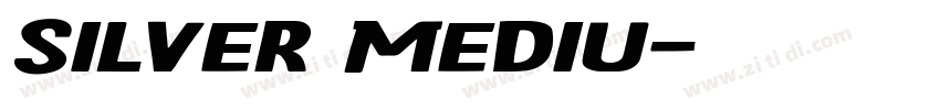 Silver Mediu字体转换